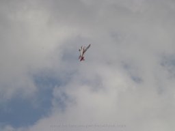 Maiden flight 2013 (213)